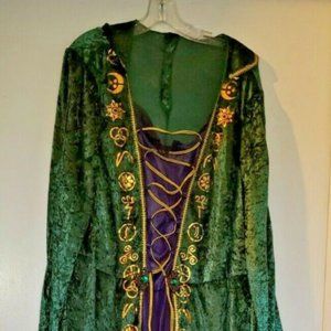 WINIFRED SANDERSON DISNEY HOCUS POCUS COSTUME - 1X